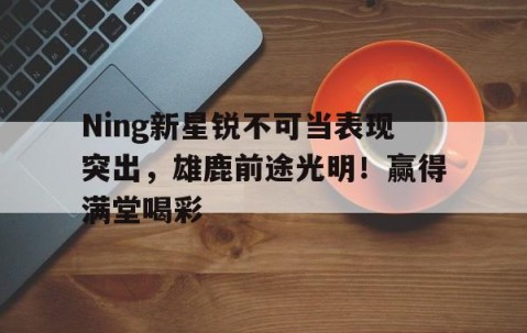 AYX-包含Ning新星锐不可当表现突出，雄鹿前途光明！赢得满堂喝彩的词条